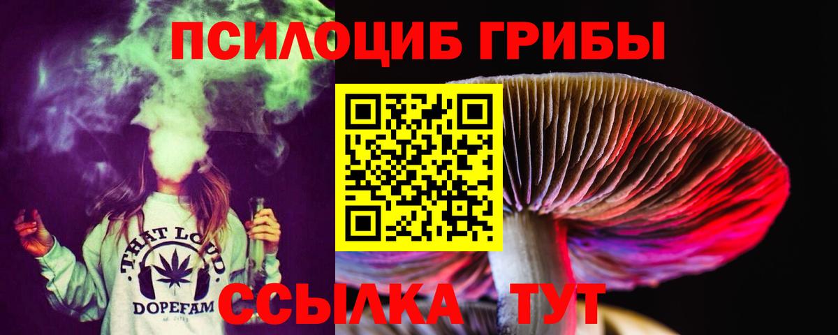 Псилоцибиновые грибы мухоморы  Вход с VPN  Ачхой-Мартан 