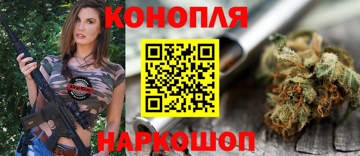 Конопля план  Вход с VPN  Бошки Шишки Amnesia  Ачхой-Мартан 